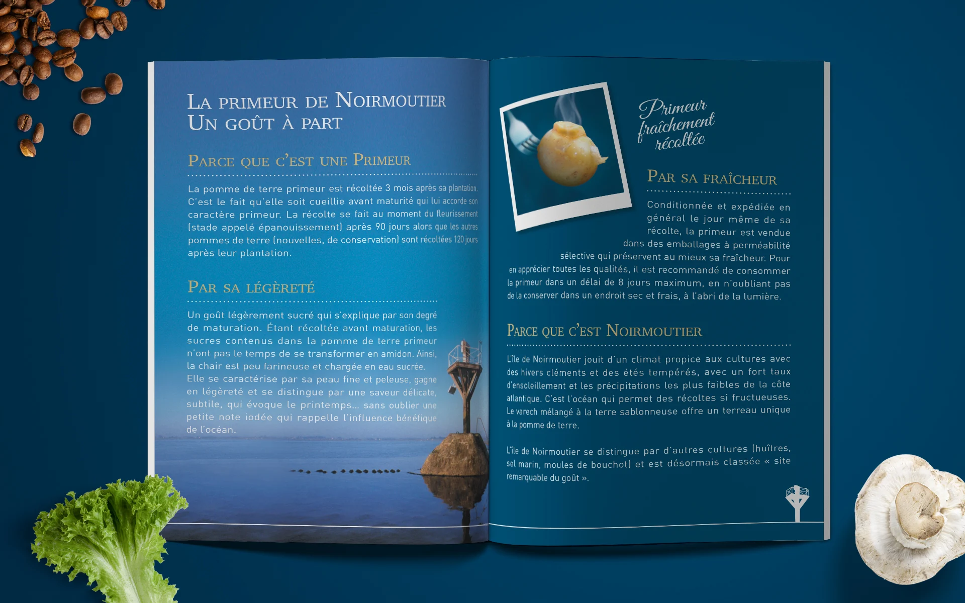 La Noirmoutier — Billboard Météo
